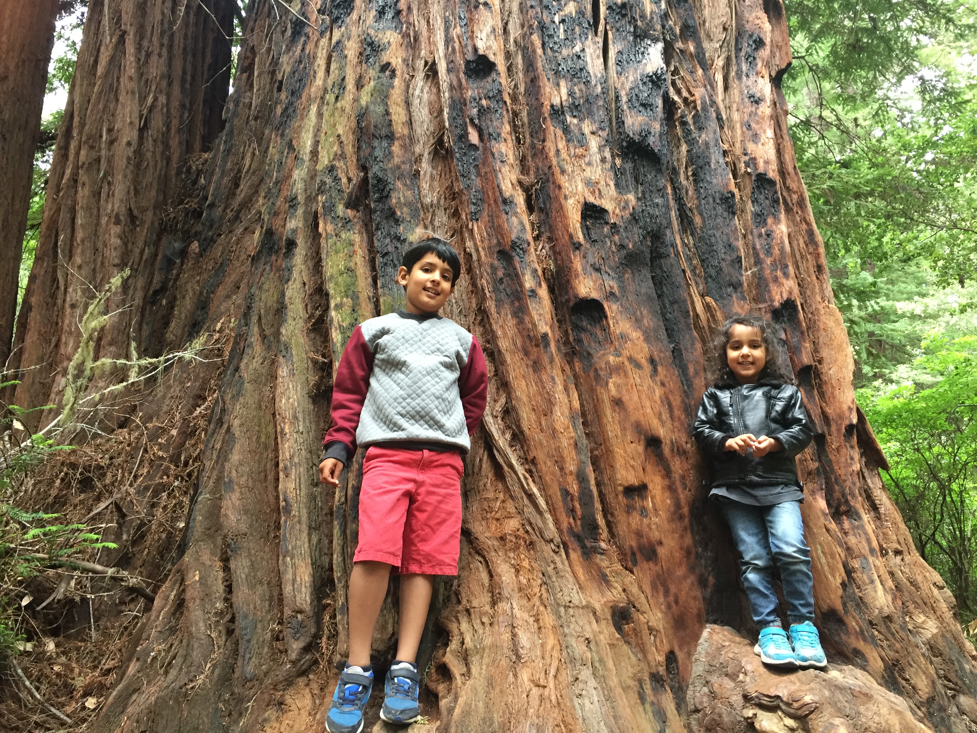 Richie and papa in the plane